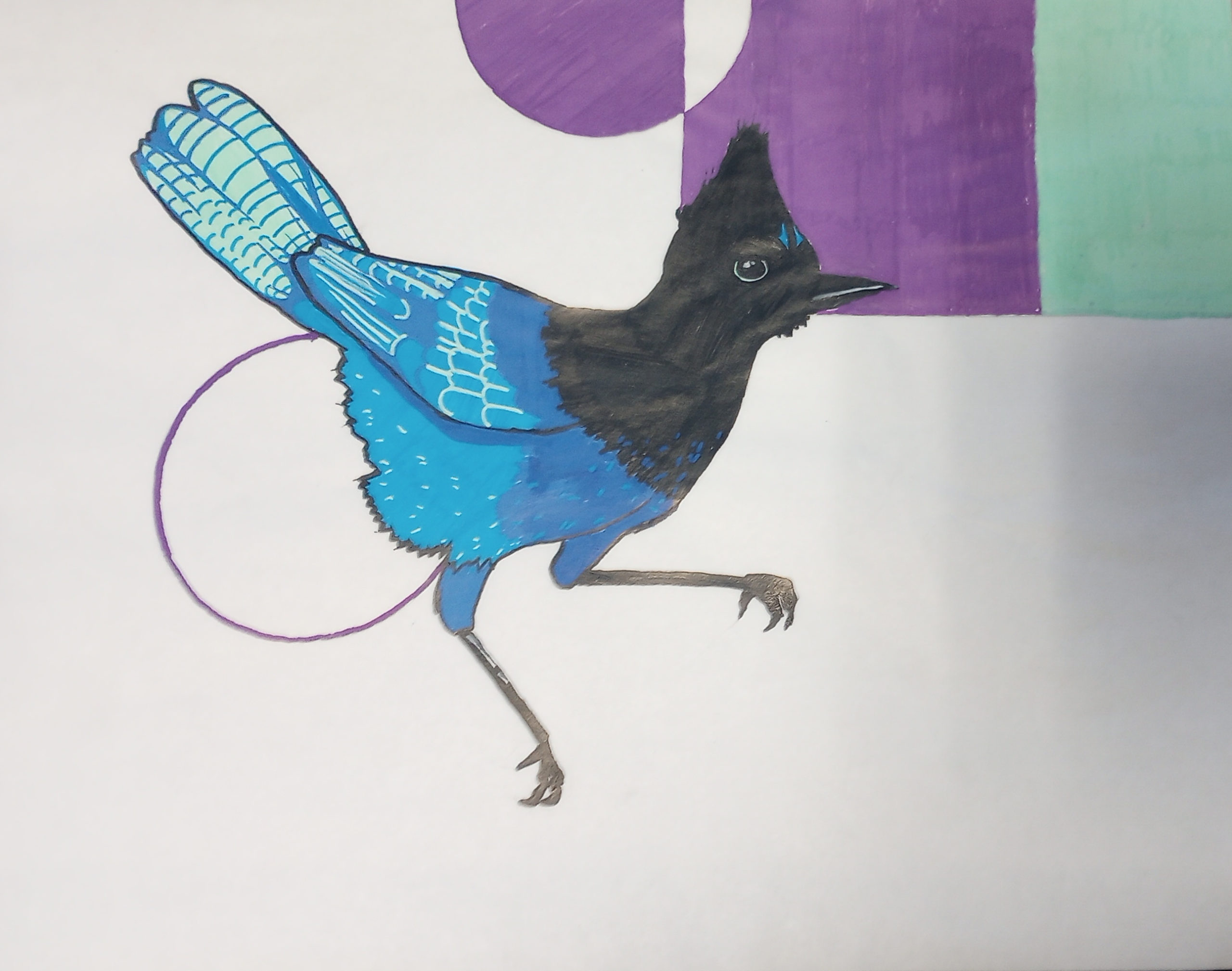 Bird